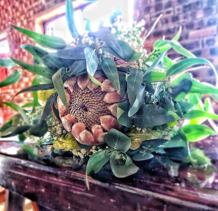 A king protea centrepiece